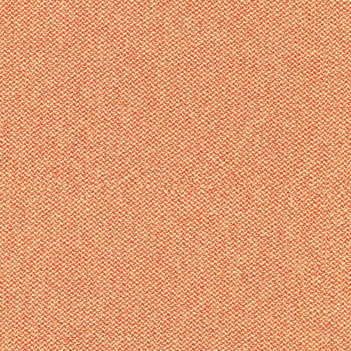CSE25-TILE.jpg