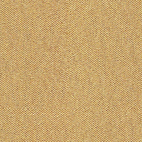 CSE31-TILE.jpg